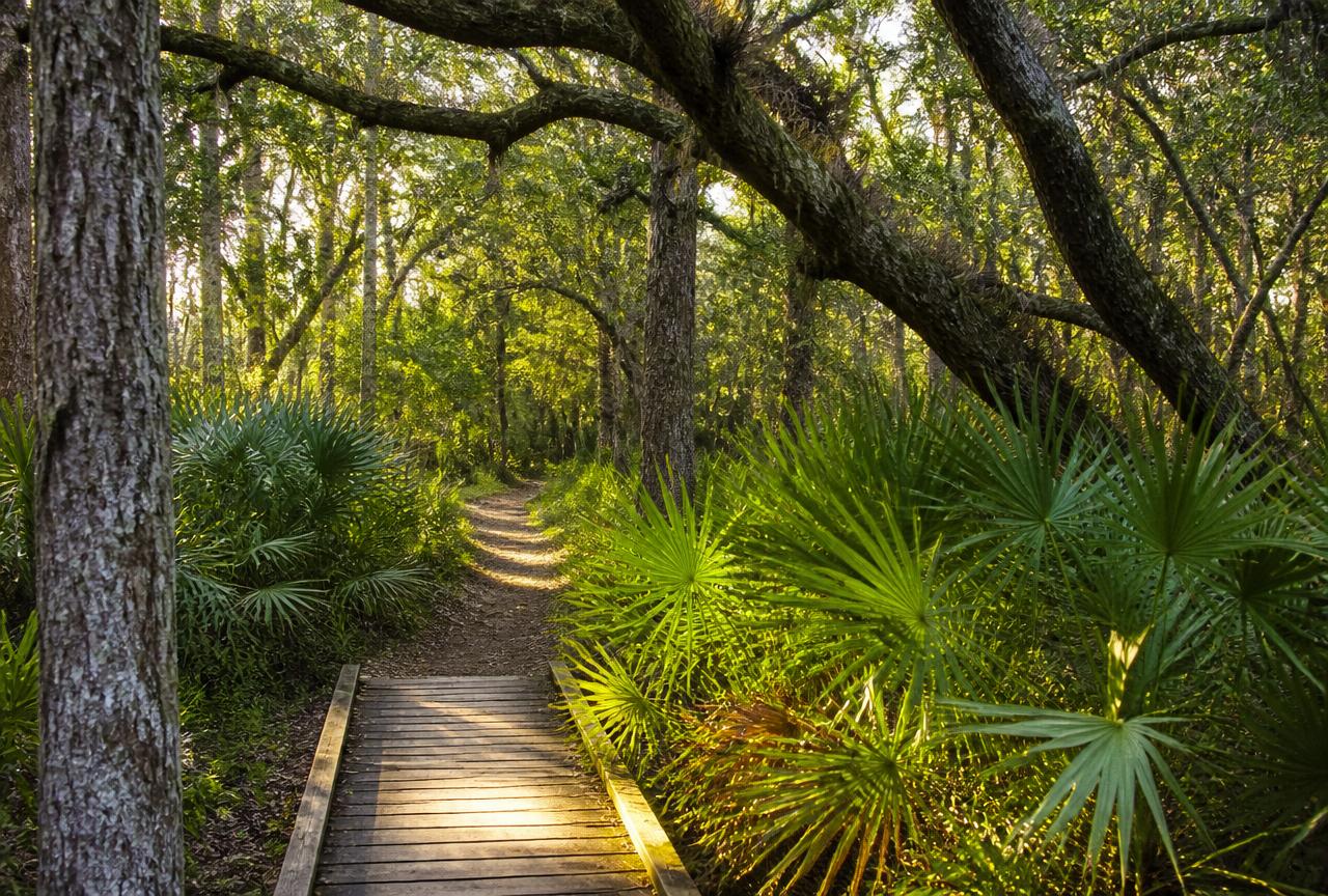 8 Nature Trails in Pinellas County Worth the Sweat